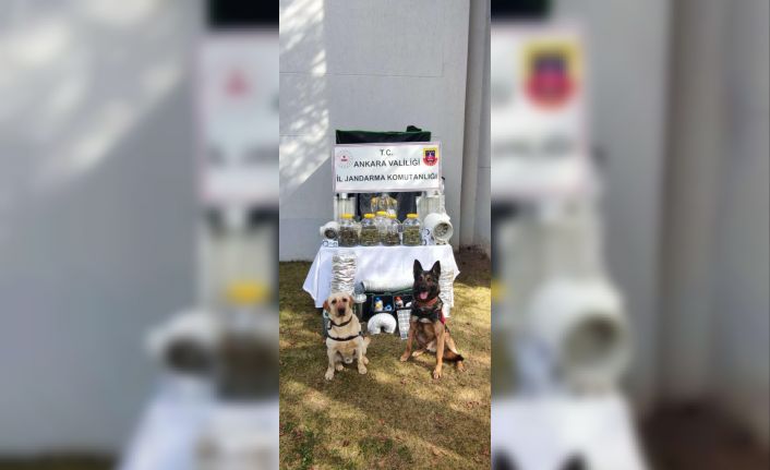 Başkentte uyuşturucu operasyonu