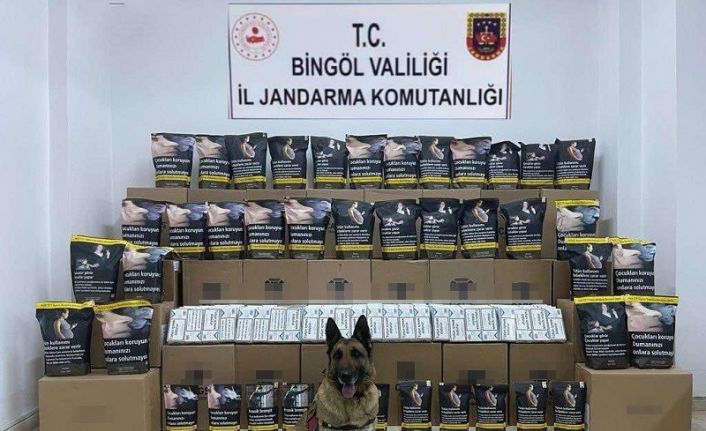 Bingöl’de 76 kilo kaçak tütün ele geçirildi: 1 gözaltı