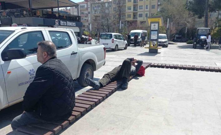 Böyle uyku keyfi görülmedi, ortalık karıştı uyku keyfini bozmadı