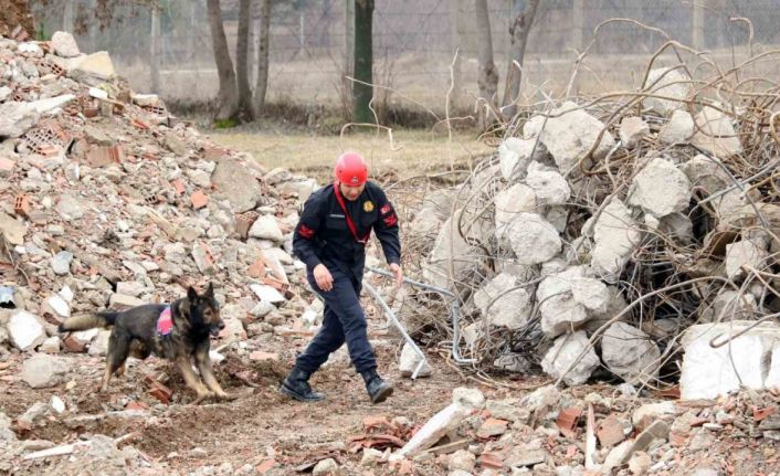 Bozkurt’taki sel felaketinde görev alan “Garip”, deprem bölgesinde de enkaz altındaki vatandaşların kurtarılmasını sağladı