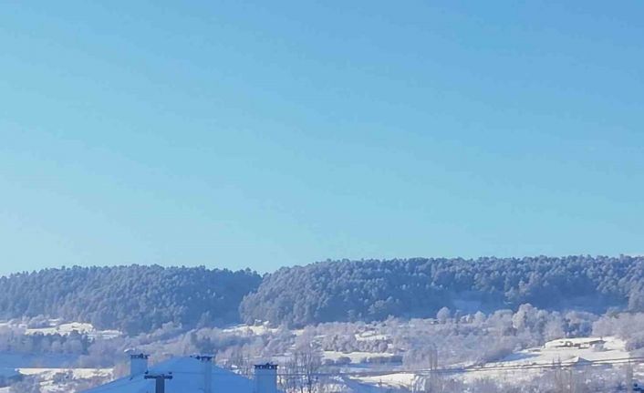 Bursa Keles’te kar yağışı çiftçiyi sevindirdi