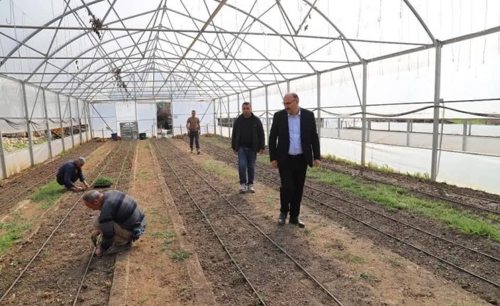 Çukurca’da fide ekimine başlandı