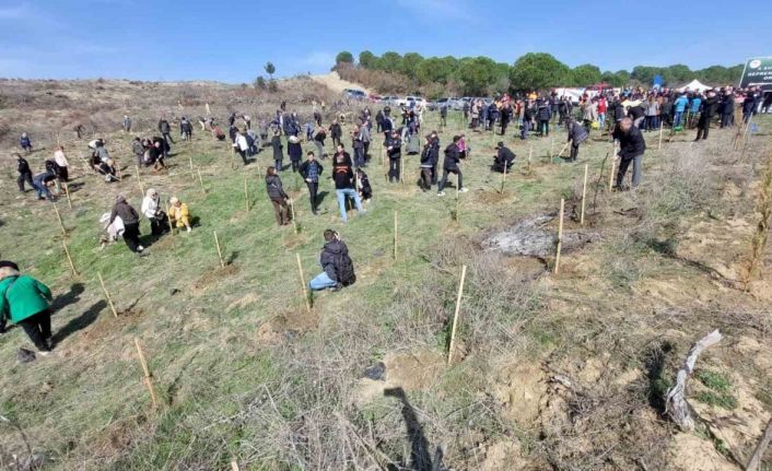 Deprem şehitleri için 30 bin fidan toprakla buluşuyor