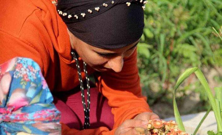 Depremde 2 çocuğunu kaydeden Azeri anne, gözyaşları içinde destek istedi