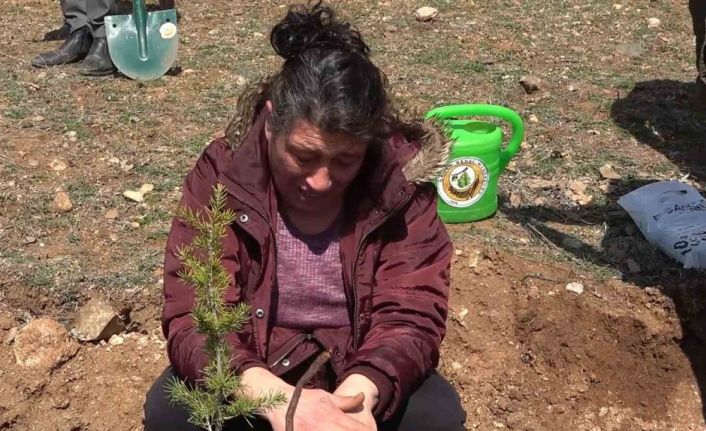 Depremde kız kardeşini ve akrabalarını kaybetti: Onlar için diktiği fidanı gözyaşıyla suladı