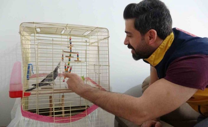 Depremin 10’uncu gününde enkazdan canlı çıkan papağanı sağlık personeli sahiplendi