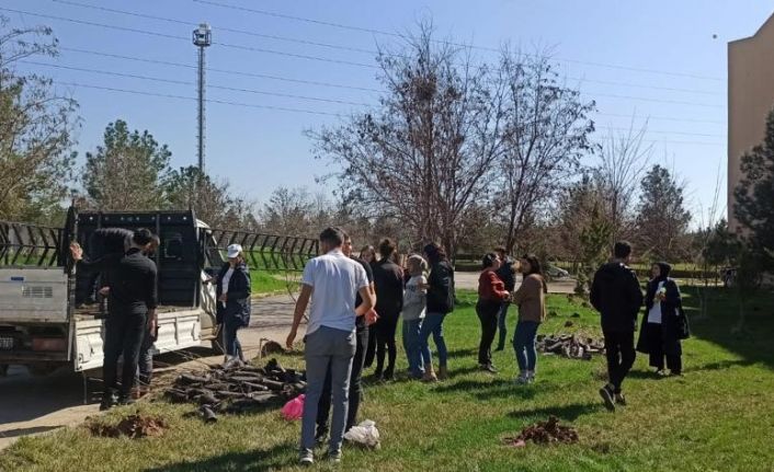 Dicle Üniversitesi, hayatını kaybeden personel ve öğrencileri adına hatıra ormanı oluşturdu