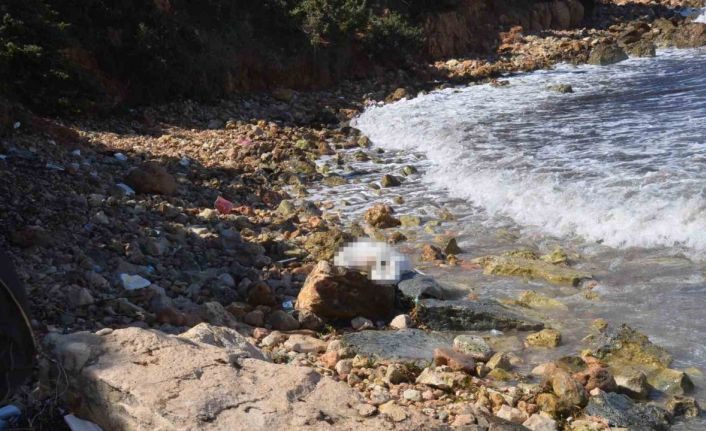 Didim’de denizde bir ceset daha bulundu