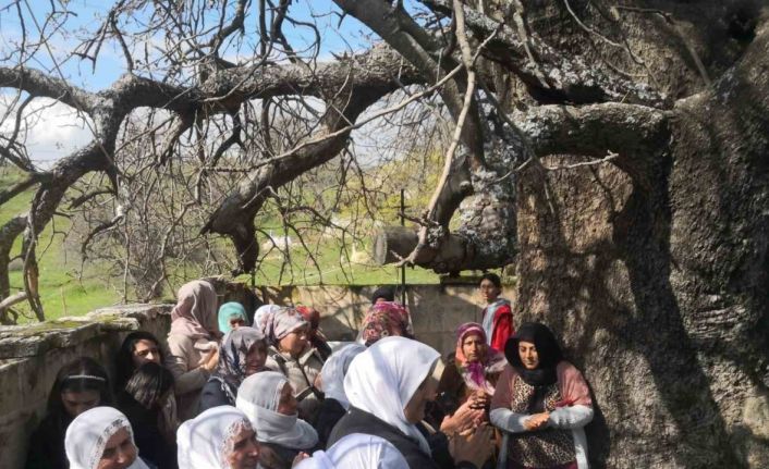 Diyarbakır’da ‘Murat Şenlikleri’ yapıldı