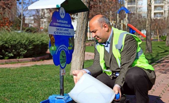 Elazığ Belediyesi, Ramazan ayı öncesi sokak hayvanlarını unutmadı