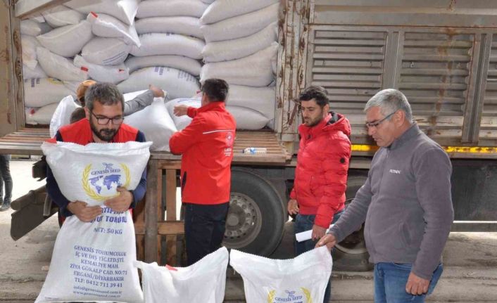Elbistan’da üreticilere yüzde 75’i hibe destekli nohut tohumu dağıtıldı