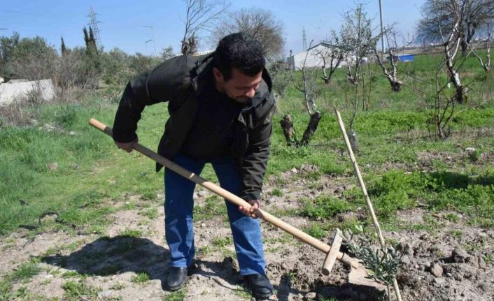Fidanlar Yunusemre’de toprakla buluşuyor