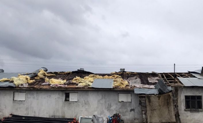 Fırtınanın çatısını uçurduğu ahırda 15 kuzu telef oldu