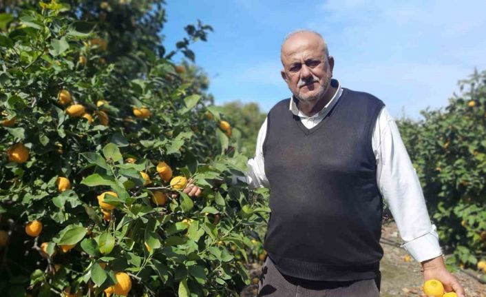 Hatay’da depolar yıkılıp dağıtım zinciri bozulunca, çiftçilerin mahsulleri ellerinde kaldı