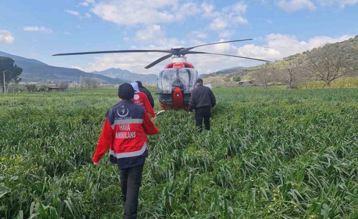 Helikopter tarlaya indi, doktorlar 2 saat mücadele etti, işçi kurtarılamadı