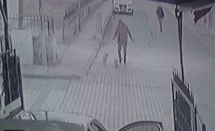 İki minik köpeğin kovaladığı adam böyle kaçtı