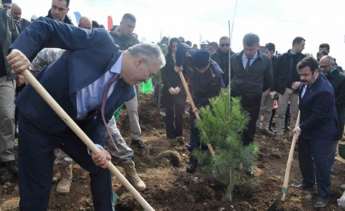 İnönü’de 2 bin fidan dikilerek 6 Şubat Deprem Şehitleri Ormanı oluşturuldu