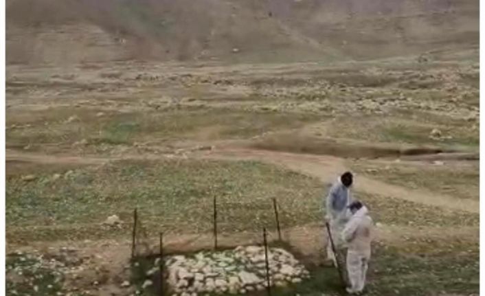 Irak’ta terör örgütü DEAŞ’ın katlettiği Yezidilere ait toplu mezar bulundu