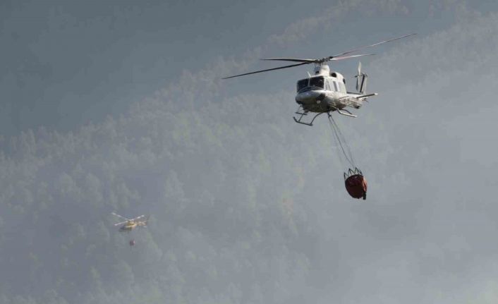 İspanya’daki orman yangınında 4 bin hektardan fazla alan kül oldu