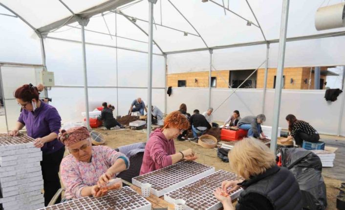 Kadınların ektiği tohumlar, deprem bölgesinde filizlenecek