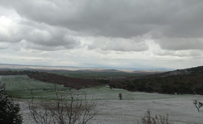 Kar yağışı doğada güzel görüntüler oluşturdu
