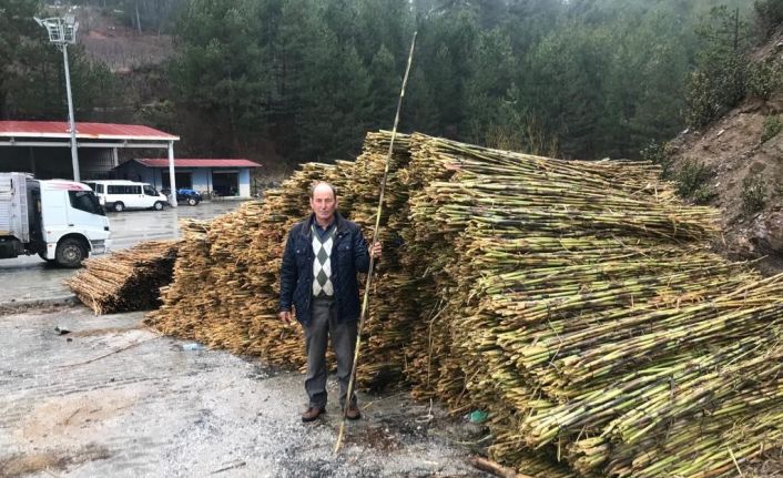 Kargılar sezona hazır