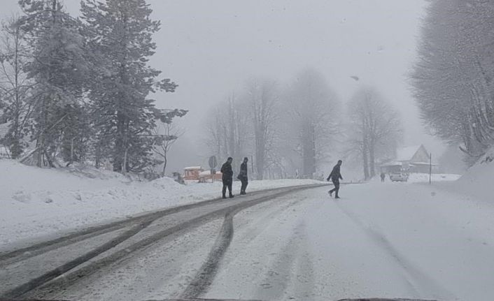 Kocayayla geçidi, yoğun kar yağışı nedeniyle ağır vasıtalara geçit vermedi
