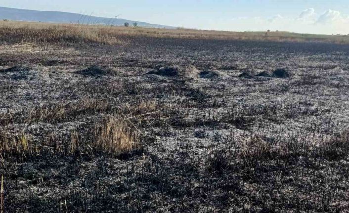 Koruma altındaki Göksu Deltası’nda çıkan yangın kendiliğinden söndü