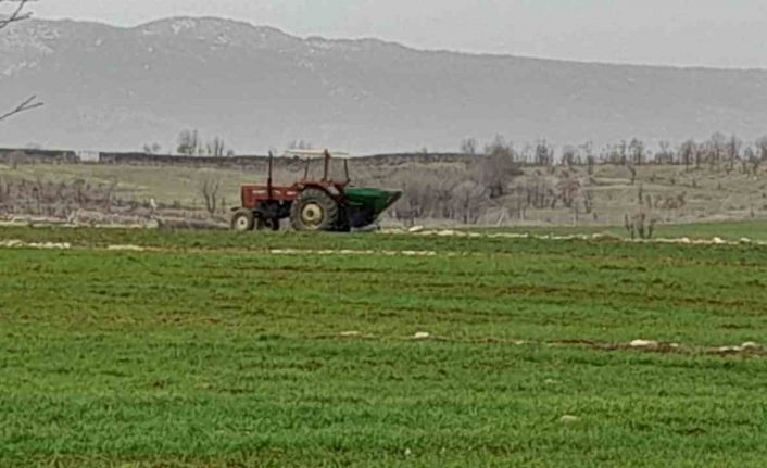 Kulp’ta çiftçiler ekinlerini gübrelemeye başladı