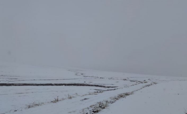 Mart ayında yağan kar çiftçiyi sevindirdi