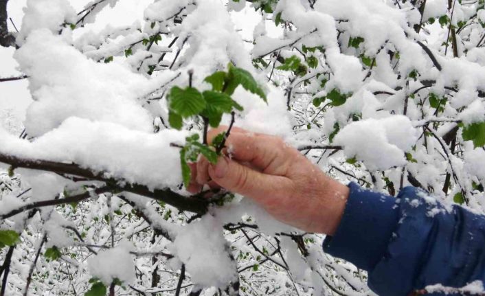 Mart karı fındık üreticisini endişelendirdi