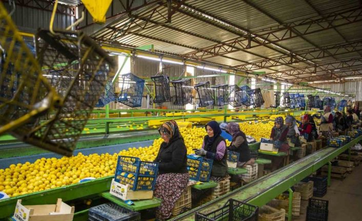 Mersin’den deprem bölgesine 160 ton narenciye ürünü gönderildi