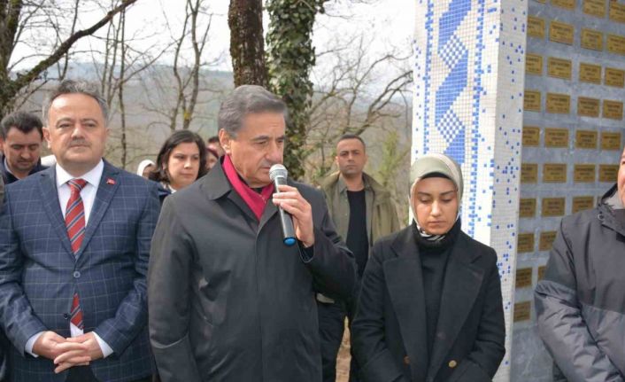 Milletvekili Güneş: “Kömür havzasını enerji ve doğalgaz üssü merkezi haline getiriyoruz”