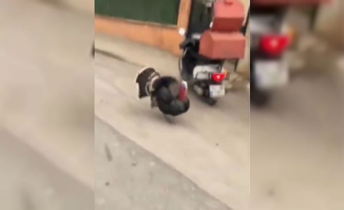 Motosikletine binmek isteyen kuryeye hindi engeli