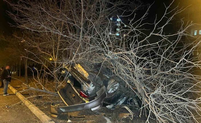 Nevşehir’de kontrolden çıkan araç ağaca çarptı: 1 yaralı