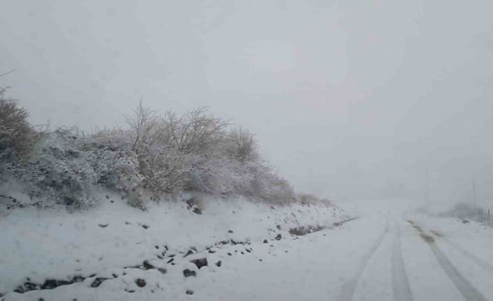 Ordu’nun yüksek kesimleri karla kaplandı