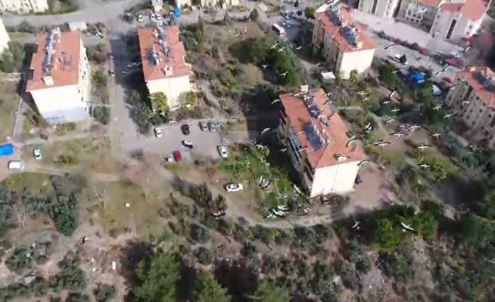 Osmaniye’de leyleklerin göçü görüntülendi