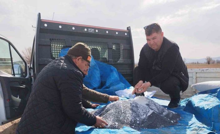 (ÖZEL) Fiyatı yükselişe geçince üreticiler bu yıl tarlalarına soğan ekmeye başladı