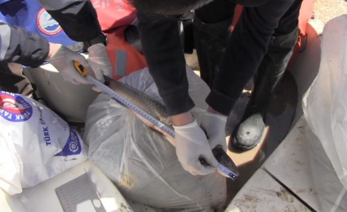 Prof. Dr. Veysel Eroğlu Ilısu Barajı’nda balık stok verim tahmin çalışmaları yapıldı