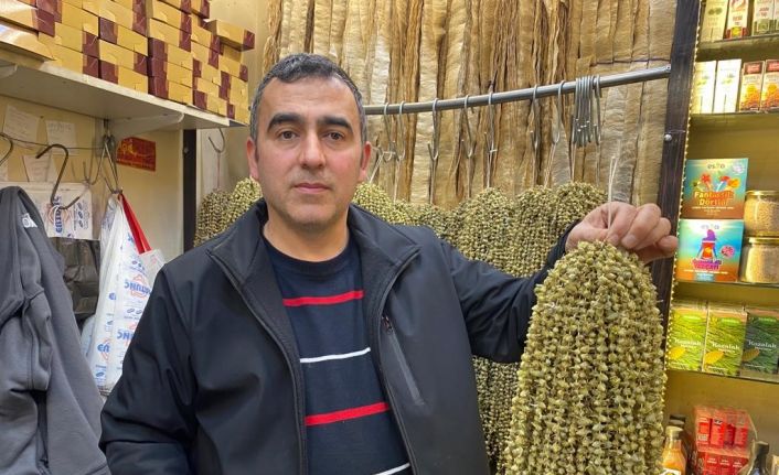 Ramazan’ın yaklaşmasıyla bamyaya ilgi arttı