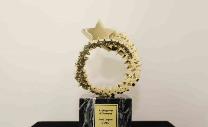 SEDAŞ’a müşteri deneyimini en iyi yöneten marka ödülü