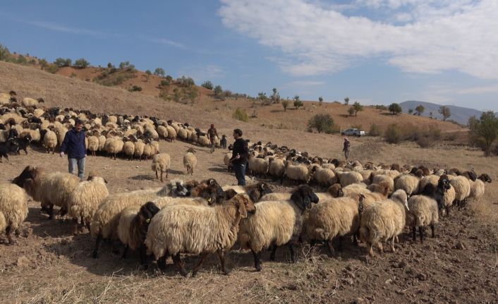 Siirtli çiftçilere 179 milyon 515 bin TL destek ödemesi yapıldı