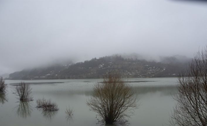 Sinop Erfelek Barajı suyu doldu taştı