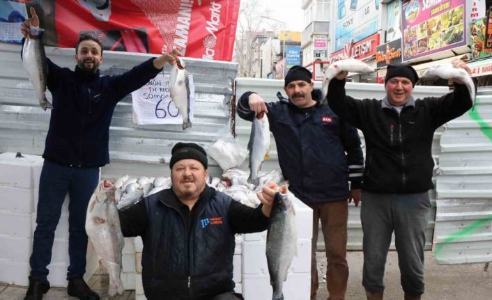Tezgahların en pahalısı kalkan, en ucuzu ise mezgit