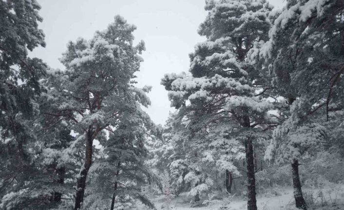 Tokat’ta Çamiçi Yaylası’na Bahar Karı