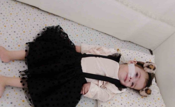 Türkiye’nin kuaförleri Ebrar bebek için yarışacak