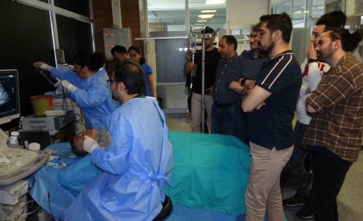 Van’da iyi huylu tiroid nodülleri ameliyatsız tedavi ediliyor