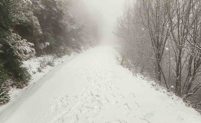 Yalova’da yüksek kesimler kar yağışıyla beyaza büründü