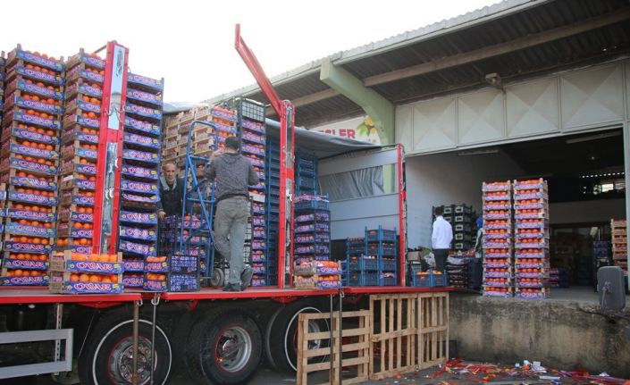 Yalova’daki meyve sebze halinden 2 ayda 5 bin 177 ton ürün çıkışı