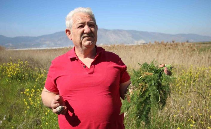 Yol kenarından topladığı otlardan para kazanıyor